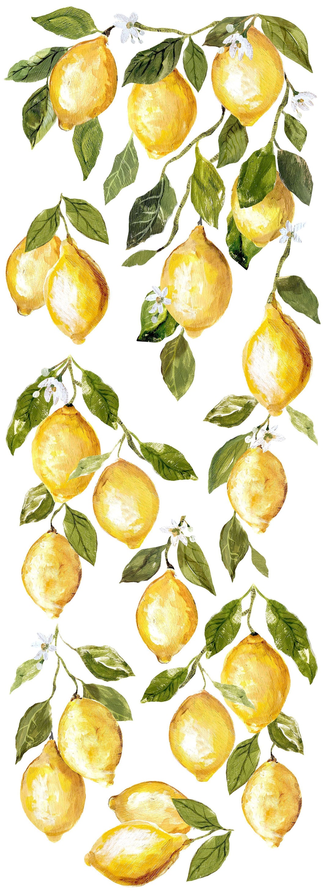 Lemon Drops Transfers - Iron Orchid Designs Transfers available at Lemon Tree Corners