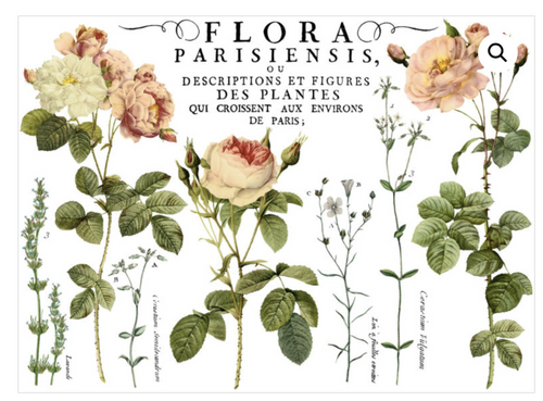 Flora Parisiensis Transfer Transfers - Iron Orchid Designs Transfers available at Lemon Tree Corners